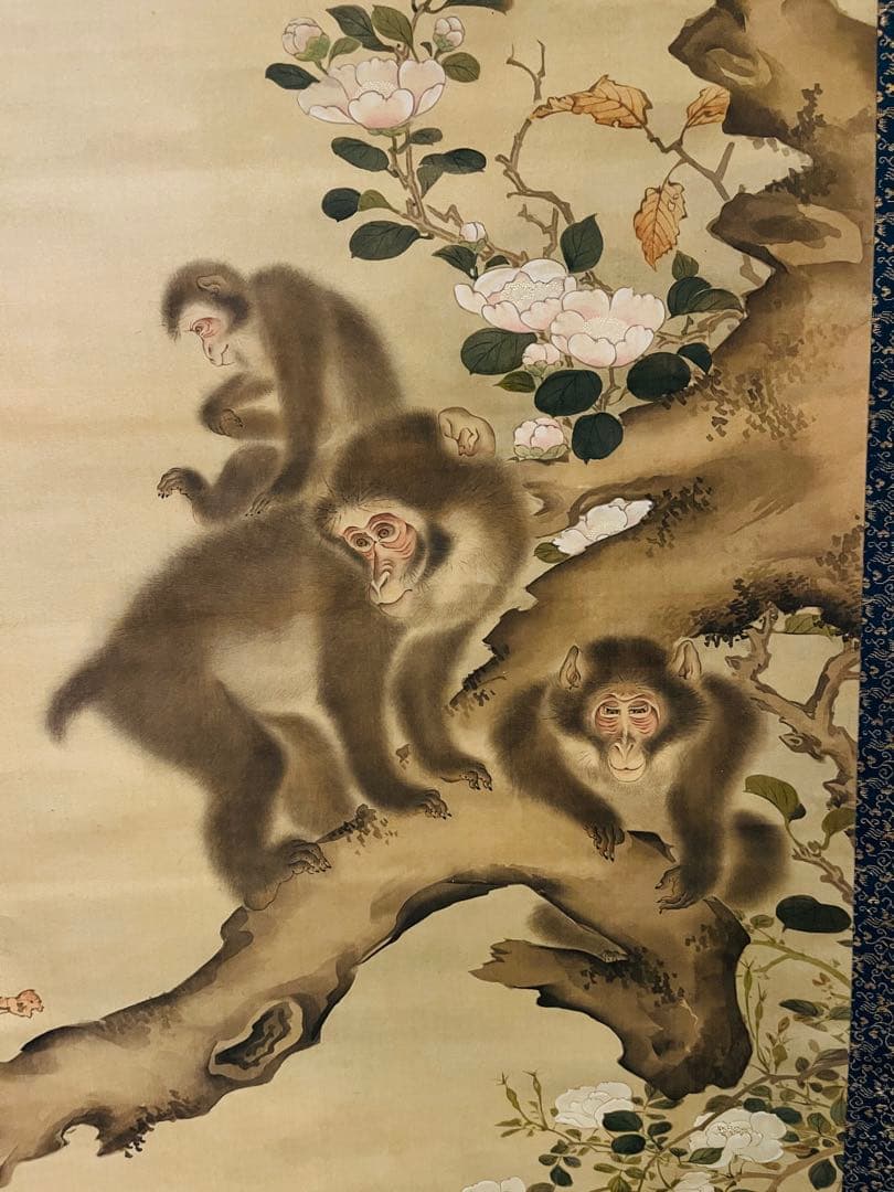 掛軸箱付き】森狙仙 親子猿之図 - メルカリ
