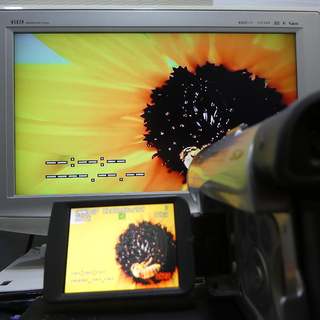 動作良好 パナソニック NV-GS120 MiniDVビデオカメラDVD化に最適