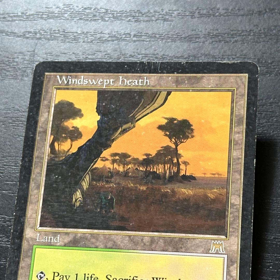 MTG 吹きさらしの荒野 英語 初版 - メルカリ