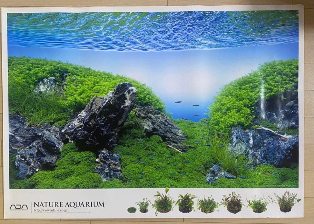 入手困難】ADA 非売品ポスター2枚セット 龍王石/雲山石 2025年最新】龍王