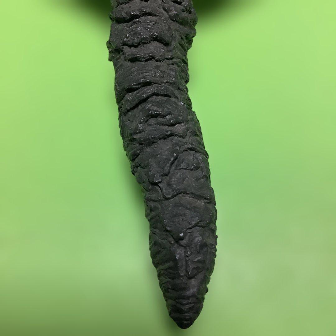 ガメラ★ソフビキット★海洋堂★酒井ゆうじ★ガメラ2レギオン襲来★組み立て済み