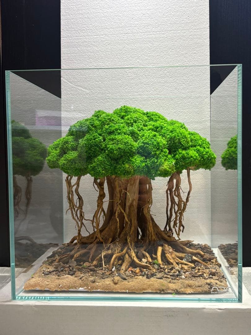 盆栽流木 人工 アクアリウム