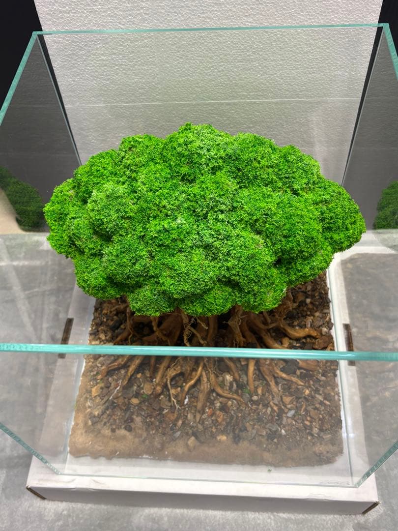 盆栽流木 人工 アクアリウム