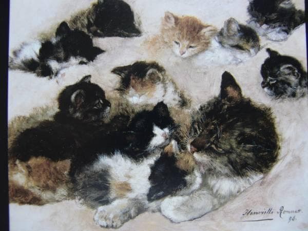 新入荷 猫 ネコ ねこ cat,希少画集画、高級新品額・額装付、絵画