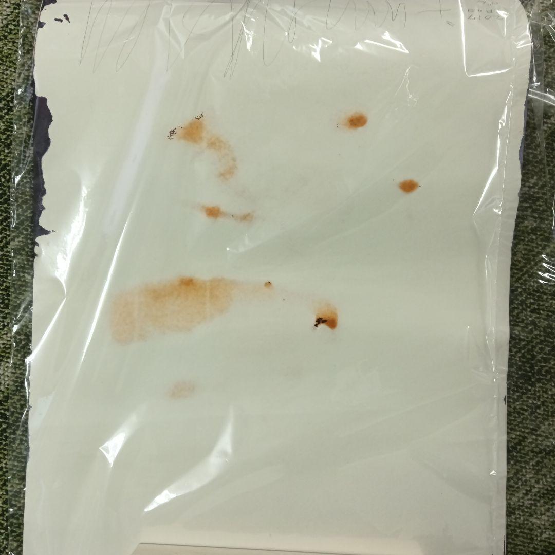 坂口恭平　原画　絵画　God is Paper掲載作品