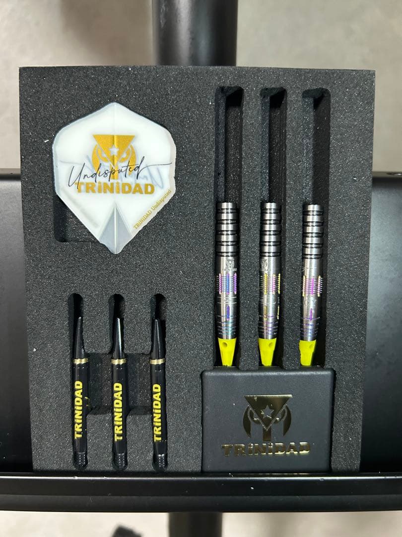 サイン入り Unicorn Leopardess 大井絵津子 USED unicorn ユニコーン