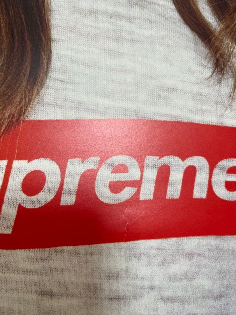 Supreme ポスター ケイトモス レオパード柄 フレーム無し