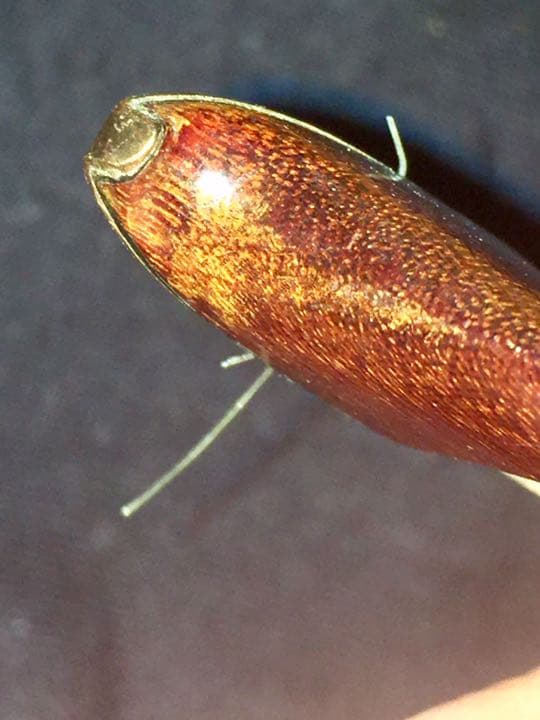 Franz Chalupetzky バイオリン 弓 ボウ 1940-1960s