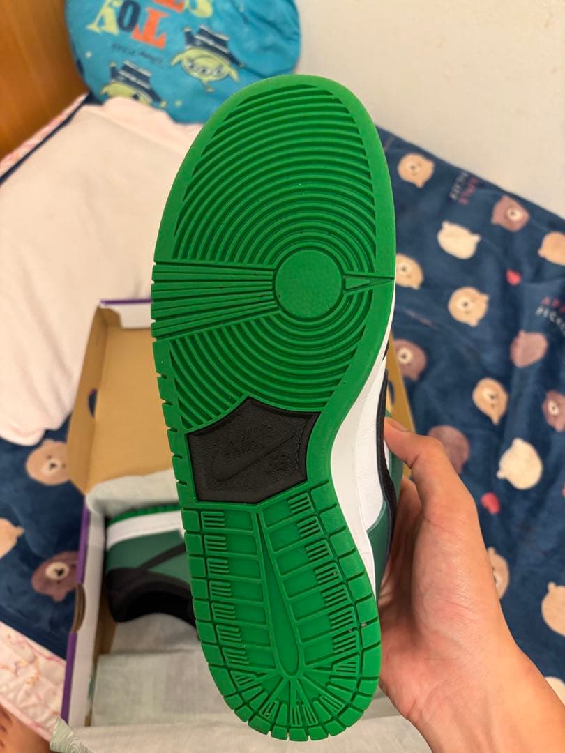 スケートボード Nike SB Dunk Low Pro Black and Green