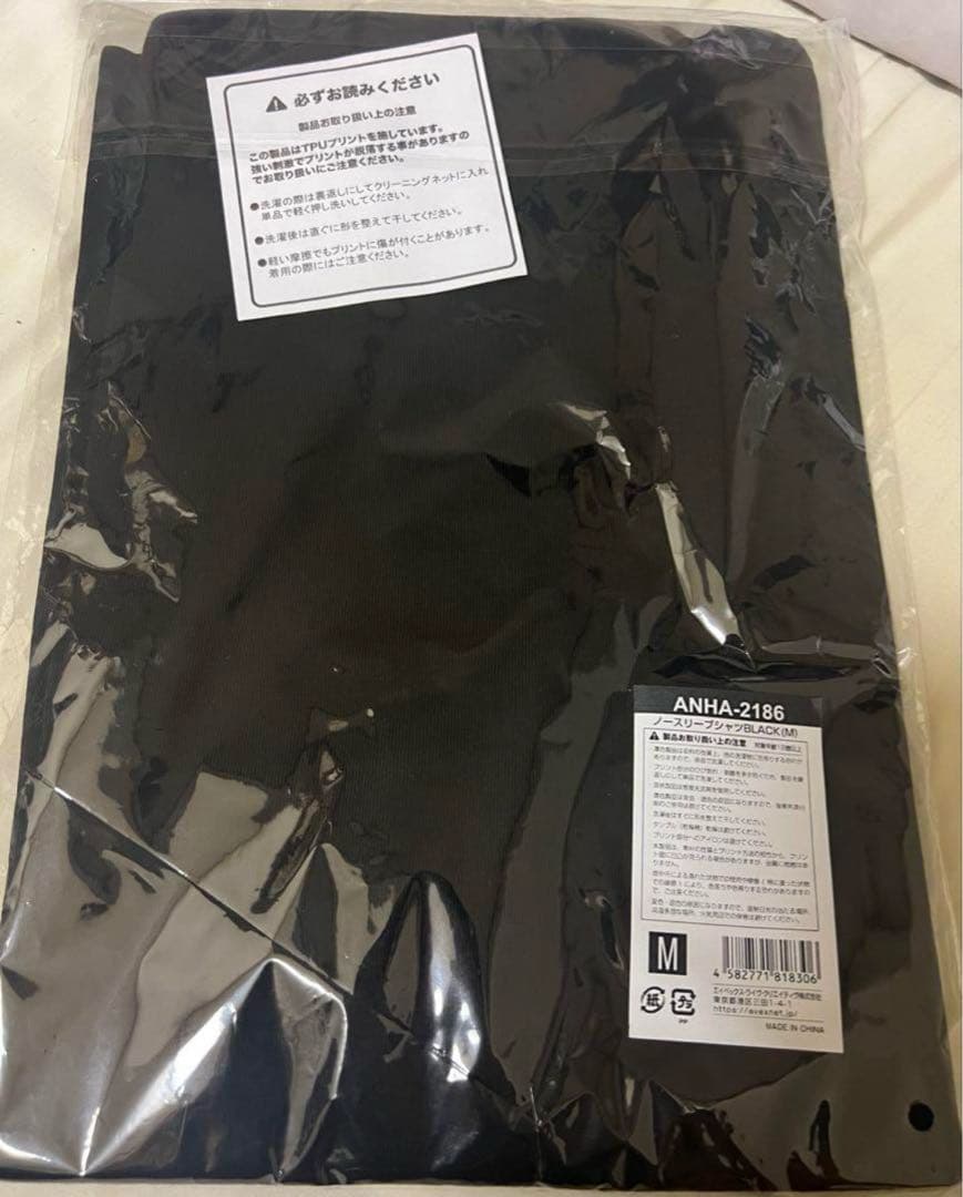 浜崎あゆみエーネーショングッズ2025