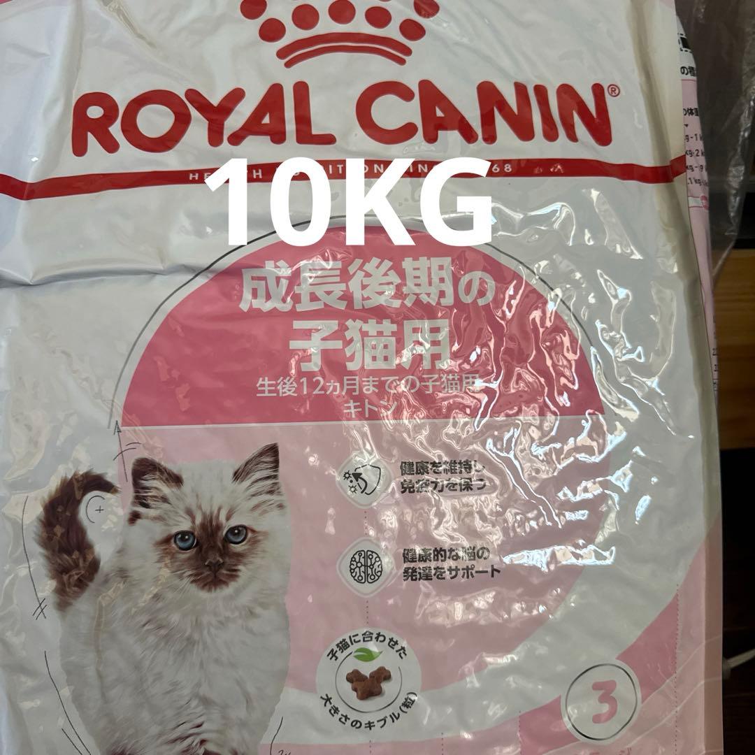 ロイヤルカナン成長後期 カリカリ キトン 10 KG