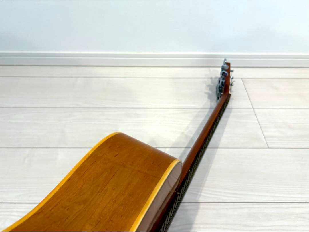 roje メイプル ハミングバード アコースティックギター アコギ