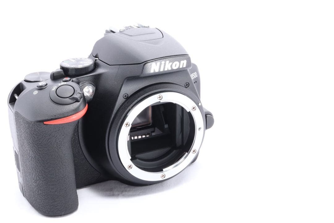 ⭐️ダブルズーム⭐️スマホ転送◎⭐️Nikon D3500⭐️needles ナロー