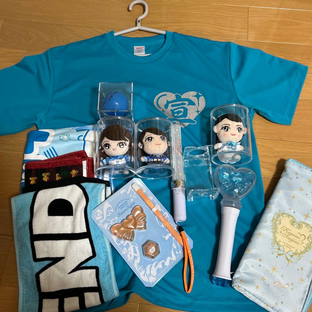 辻野かなみ セット 辻野かなみ 超ときめき宣伝部 とき宣 タペストリー