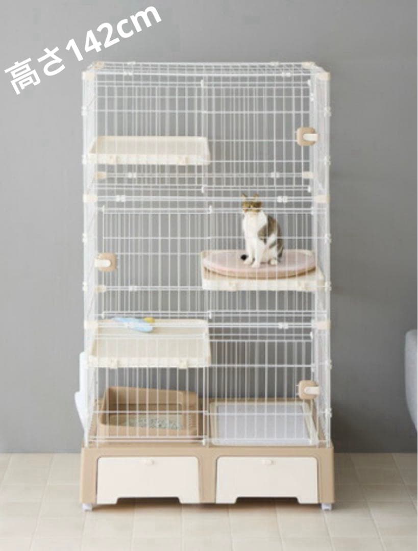 キトンサークル