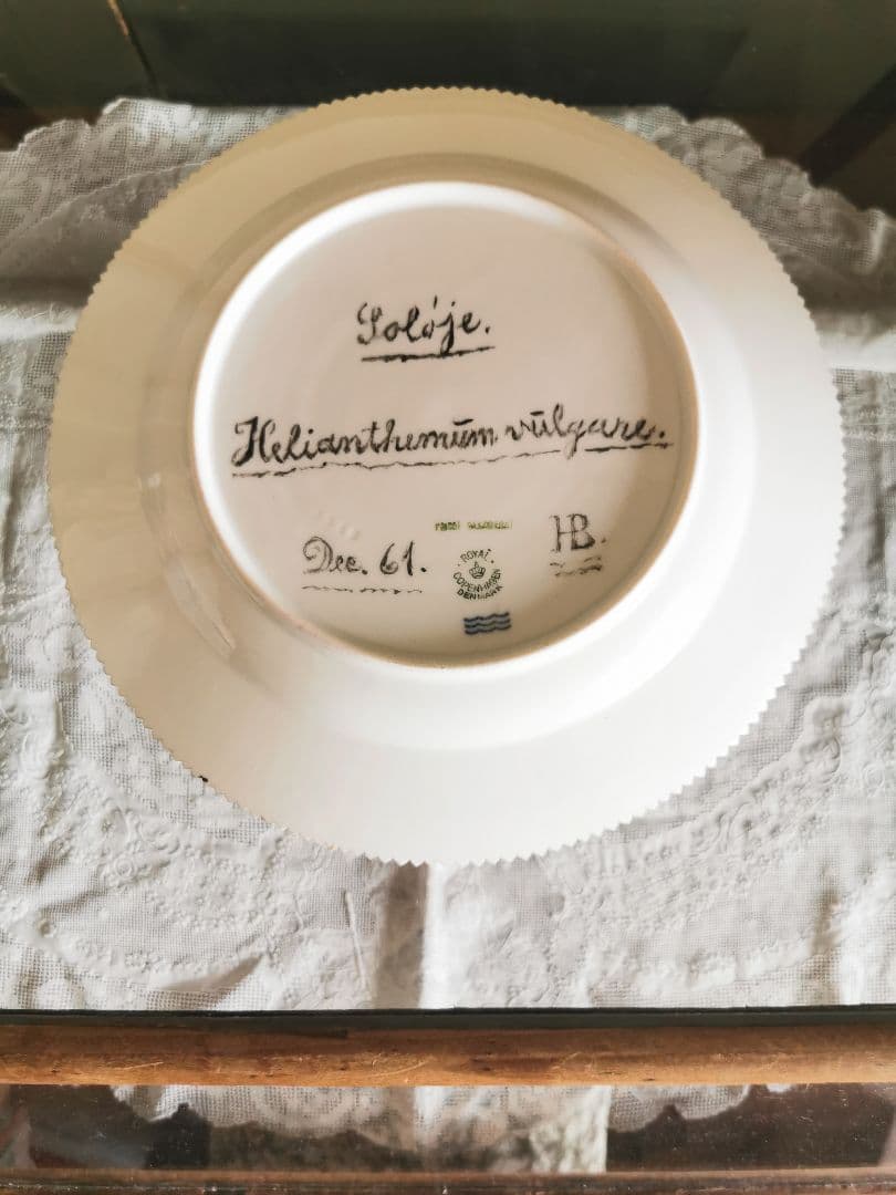 ロイヤルコペンハーゲン至宝φ25フローラダニカ 岩薔薇ヘリアンテム