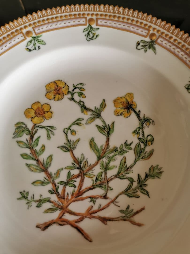 ロイヤルコペンハーゲン至宝φ25フローラダニカ 岩薔薇ヘリアンテム