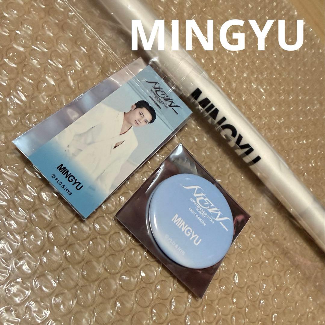 SEVENTEEN セブチ NEW タペストリー ジュン 文化祭 輪投げ わなげ