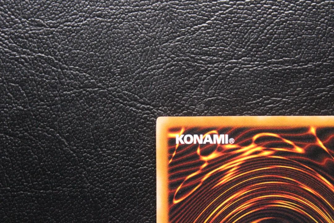 【遊戯王】LN-14 ダーク・ネクロフィア レリーフレア