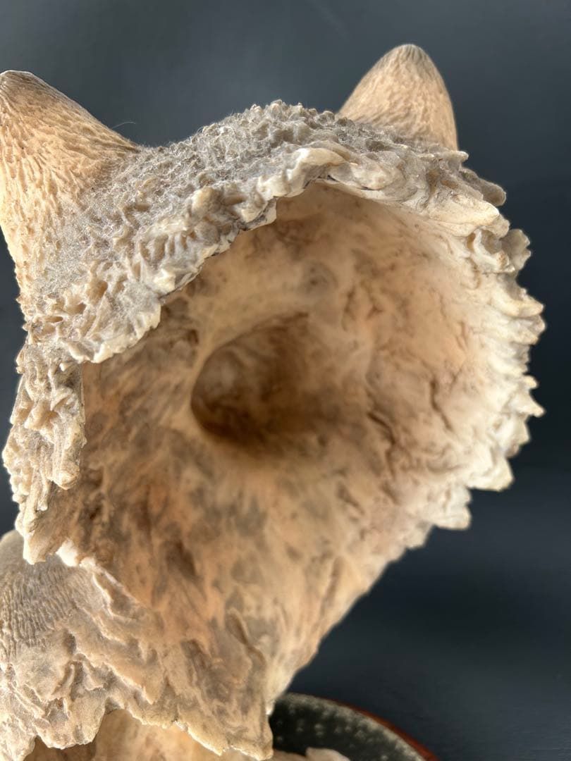 フクロウの剥製 木製台座付き