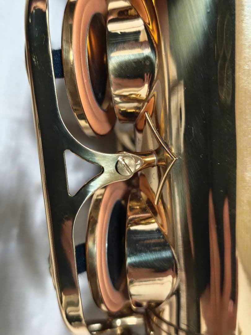 ANTIGUA SAX ／ELDON ALTO SAX GL