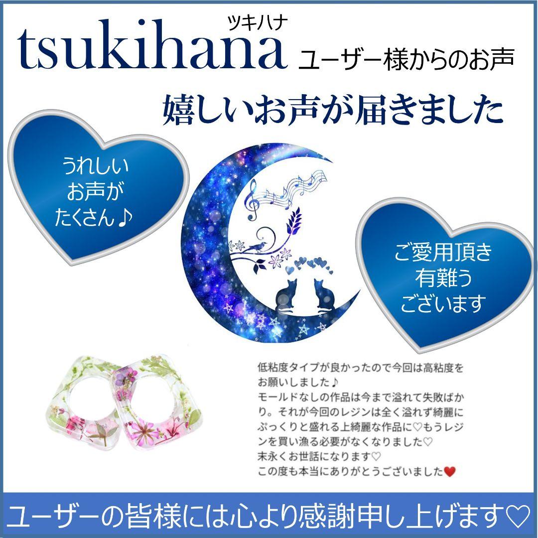 専用レジン液 フルール8本、ツキハナ2本、コーティング剤つき✩.*˚