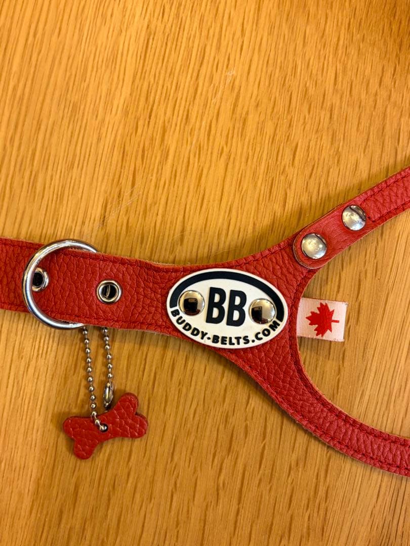 Buddy Belts】バディベルト ハーネス 6号 レッド 本革 カナダ製 ラテの