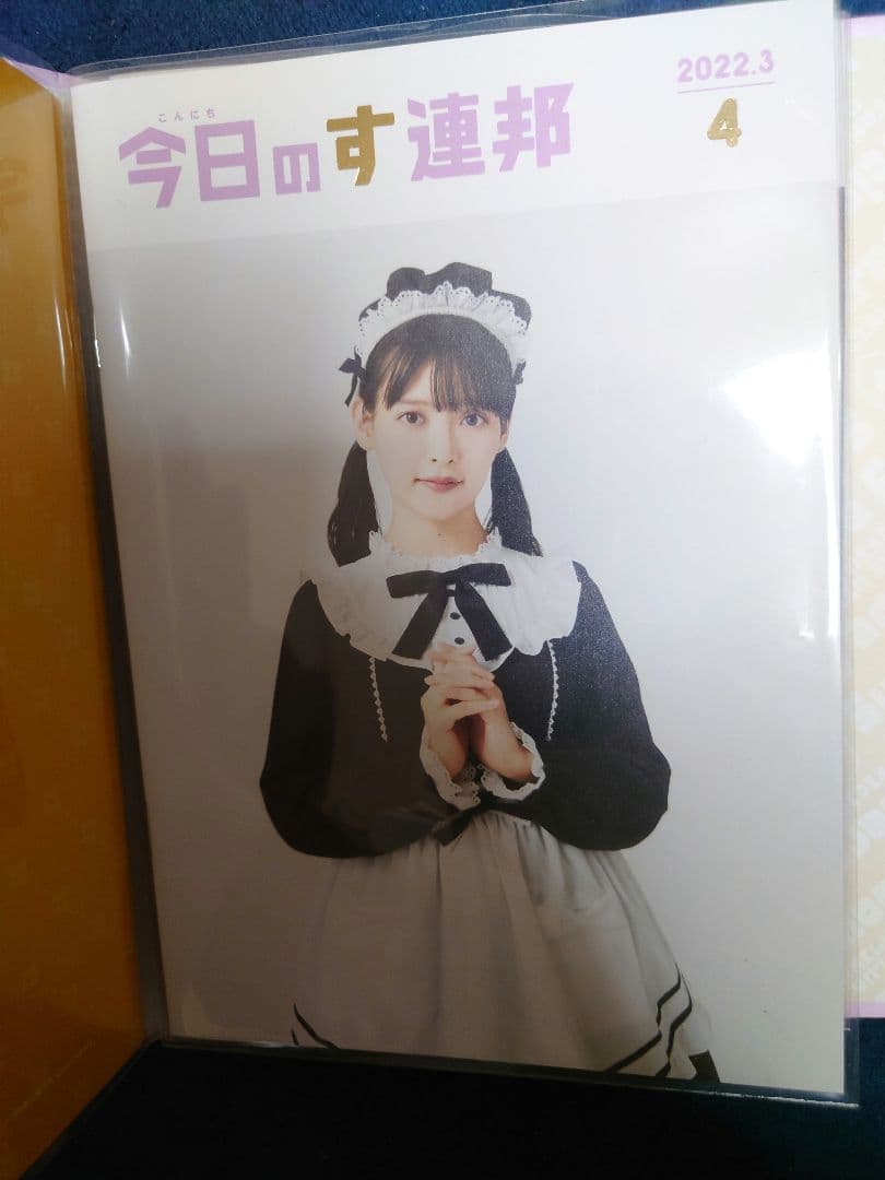 上坂すみれ ファンクラブ会報誌 全11部 専用バインダー付属