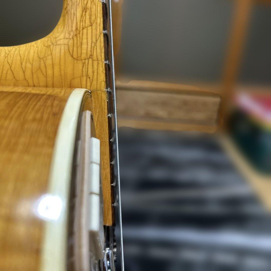 TEISCOセミホロウボディ 3ピックアップフルアコギター - メルカリ