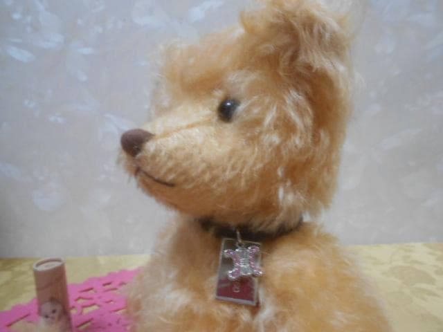 セリーヌ限定品　テディベア　250体限定　レアぬいぐるみ