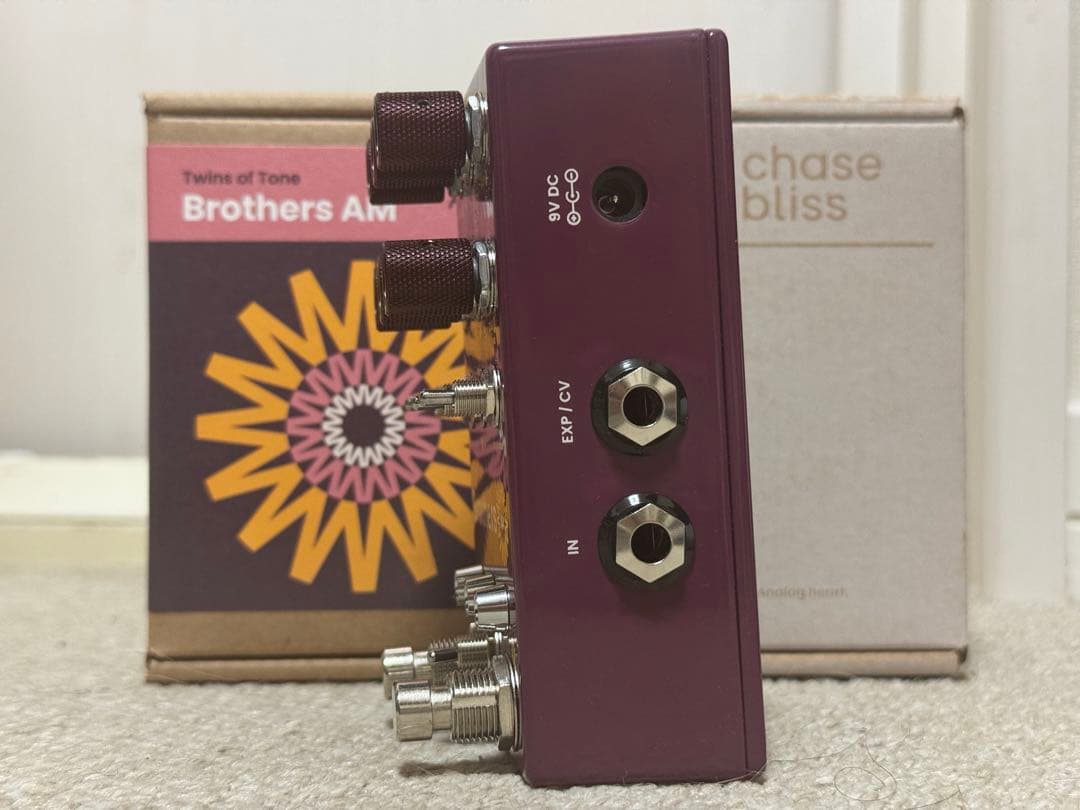 Chase Bliss Audio BROTHERS AM です。