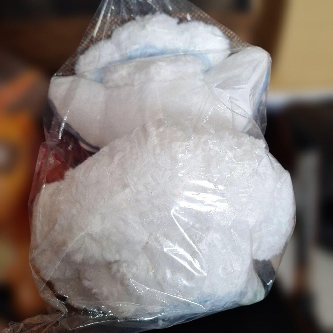 新品　タグ付き　ポケモンセンター　ロコン　アローラロコン　ふわふわ　ぬいぐるみ