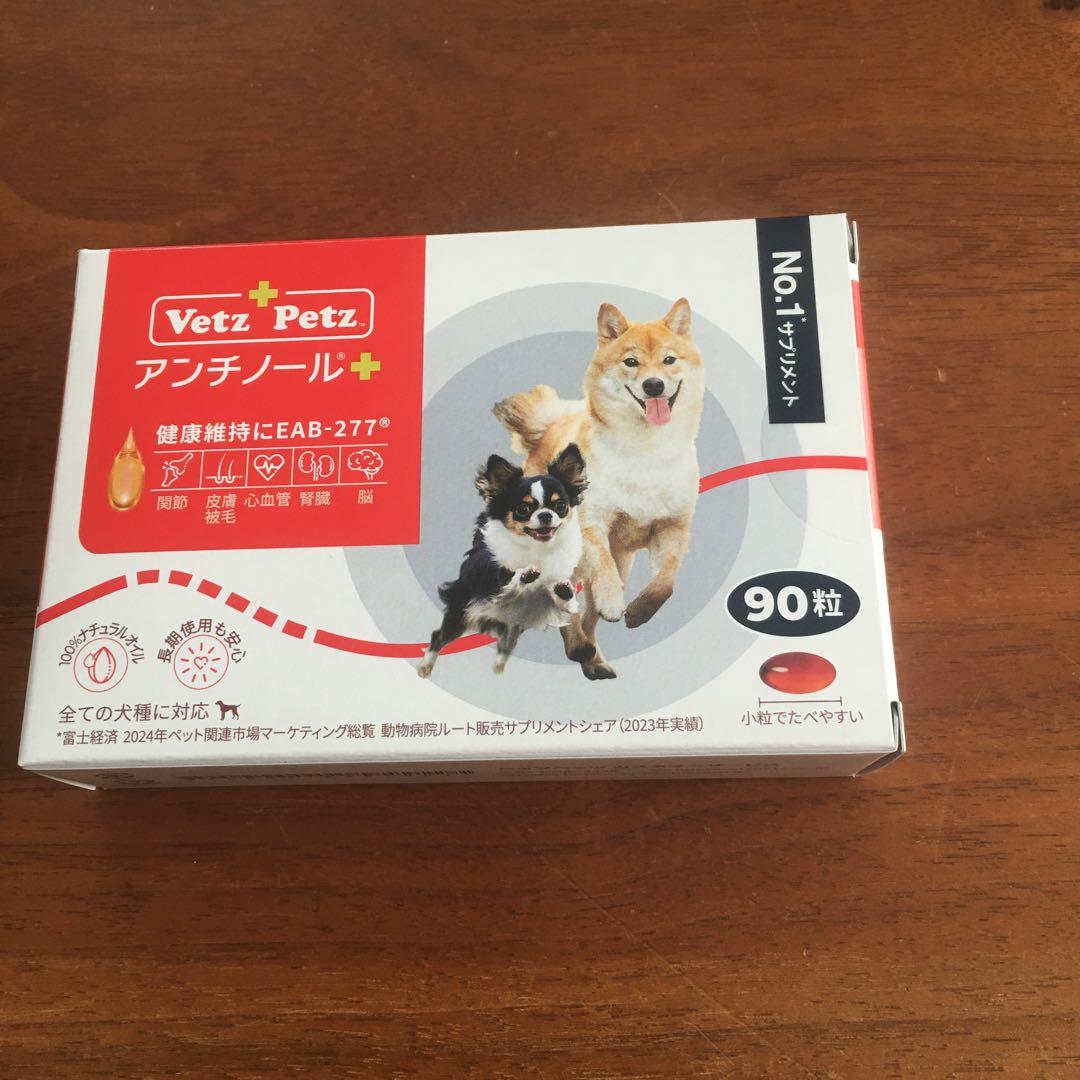 アンチノール 90粒