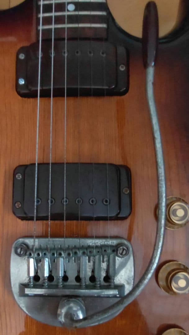 な*う様 グレコ GO−Ⅱ ハムバッキング X 2 タイプ ナット変更あり