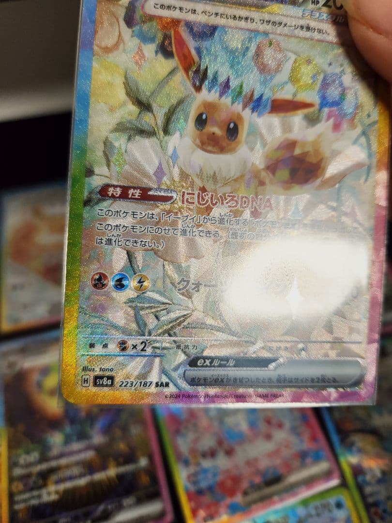 テラスタルフェスex ブイズ SAR ポケモンカード 10種類 コンプ