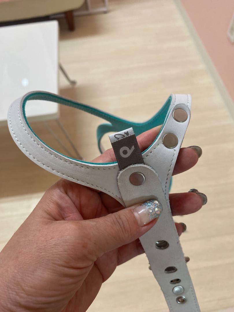 SU様専用 バディーベルトロビンズエッグブルーレザーハーネス 6号