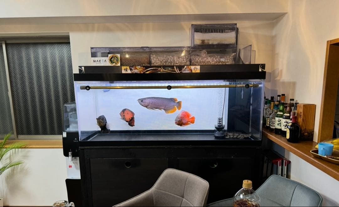 1500水槽 台 ぷぅ工房上部濾過