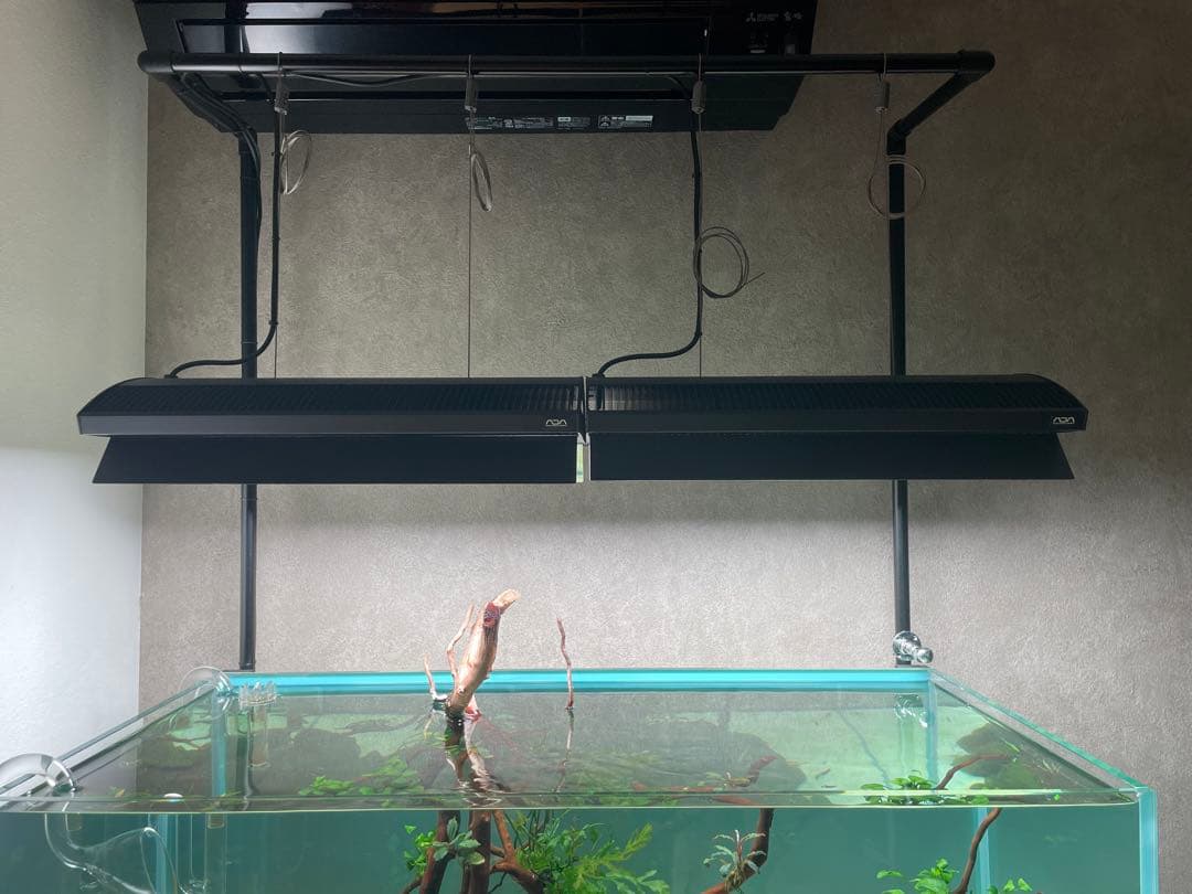 ADA ソーラーRGB リミテッドエディション ブラック 2台セット