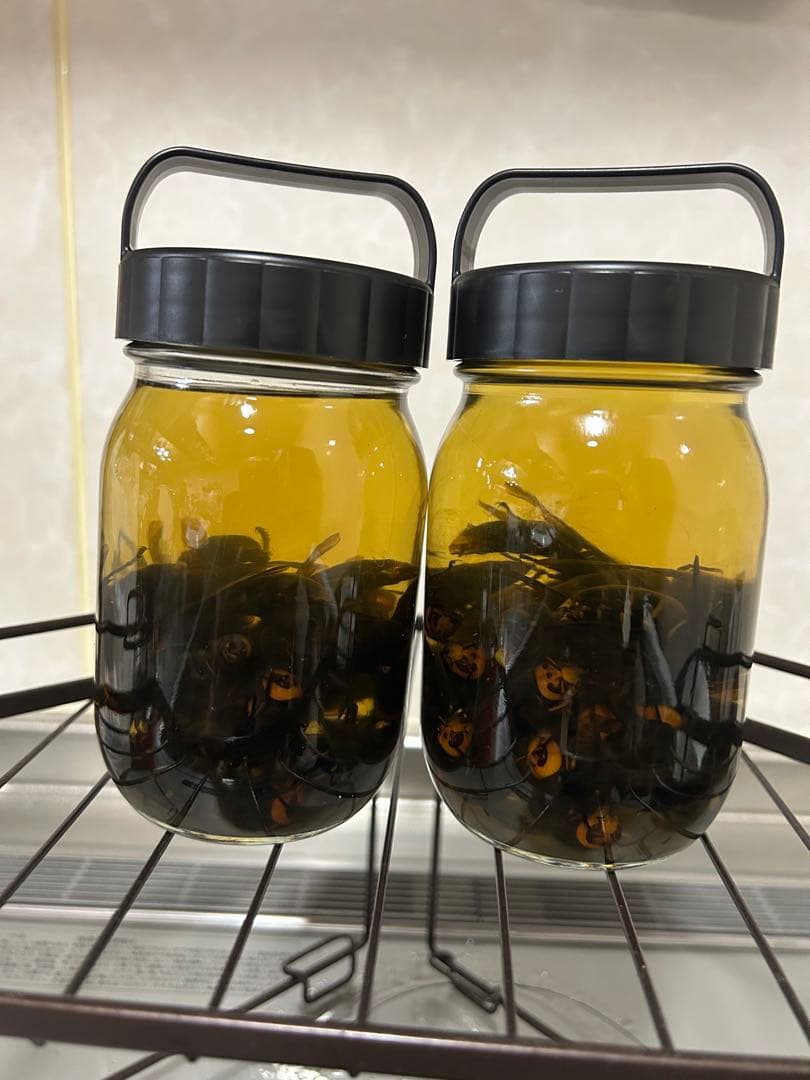 オオスズメバチ 焼酎漬け 酒漬け スズメバチ 焼酎漬け 蜂酒 150匹