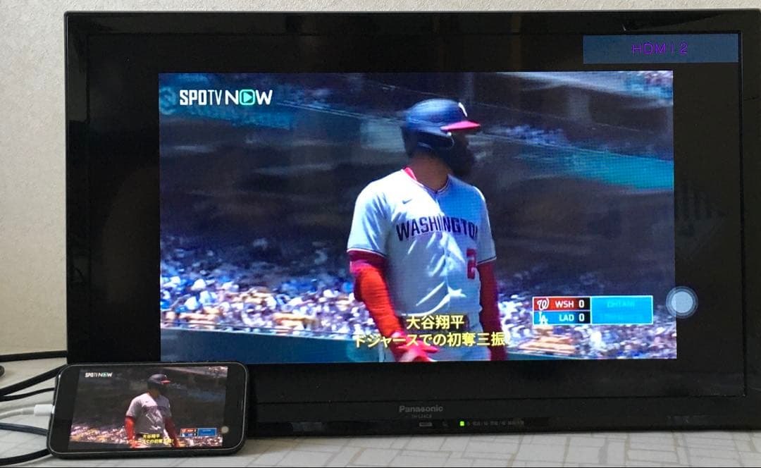 Panasonic Viera 薄型テレビ TH-L24C6 本体と付属品