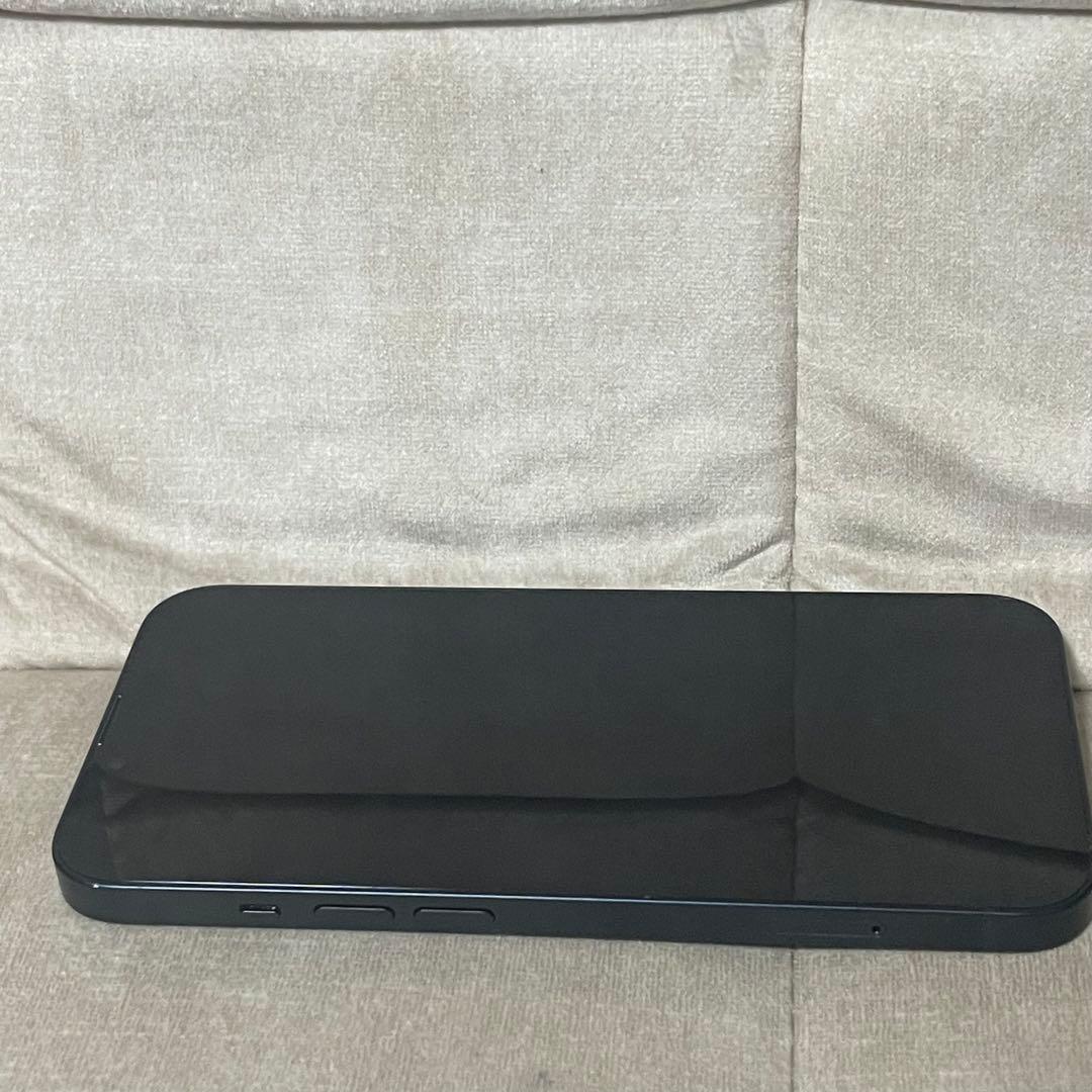 石井竜也作品 SAFACARIA MOON リトグラフ 石井竜也作品 SAFACARIA MOON