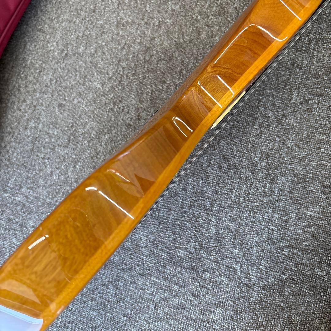 PRS SE SANTANA エレキギター　バード　ダンカン