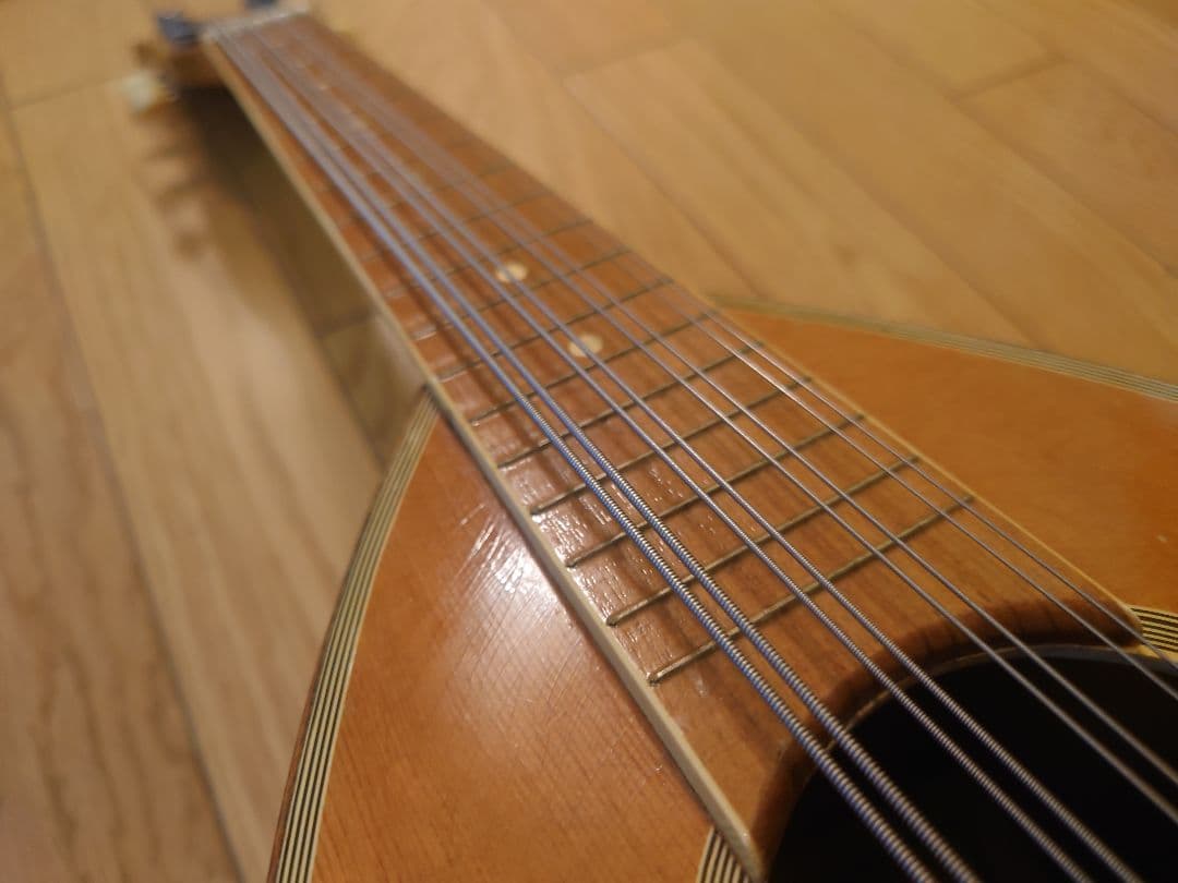 Suzuki マンドラ No.501 1963年製 - 弦楽器アウトレット 価格 通販