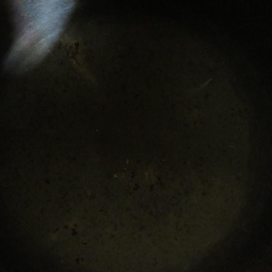 大釜 茶釜 大型 木箱 古芦屋釜 遠藤喜代志 彫金家 希少 - メルカリ