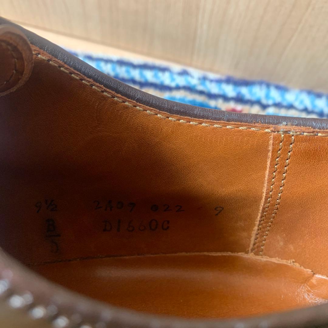 Dblueオールデン　Aledn シガー　コードバン9.5D D1660C