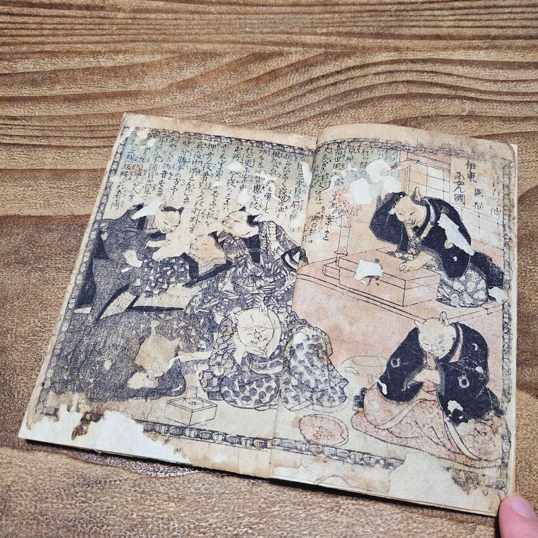 po9221※難有 絵本 化猫 鐄花猫目鬘 一孟斎芳虎 戯作 妖怪 和本 古文書