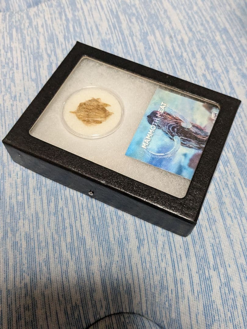 本物！マンモスの肉片 ミイラ 化石 組織