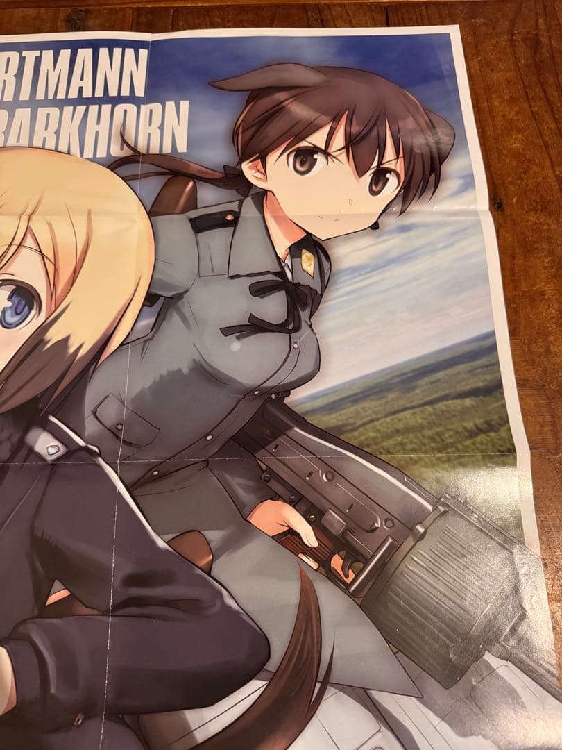 ストライクウィッチーズ 付録 坂本美緒両面枕カバー b2ポスター アニメ