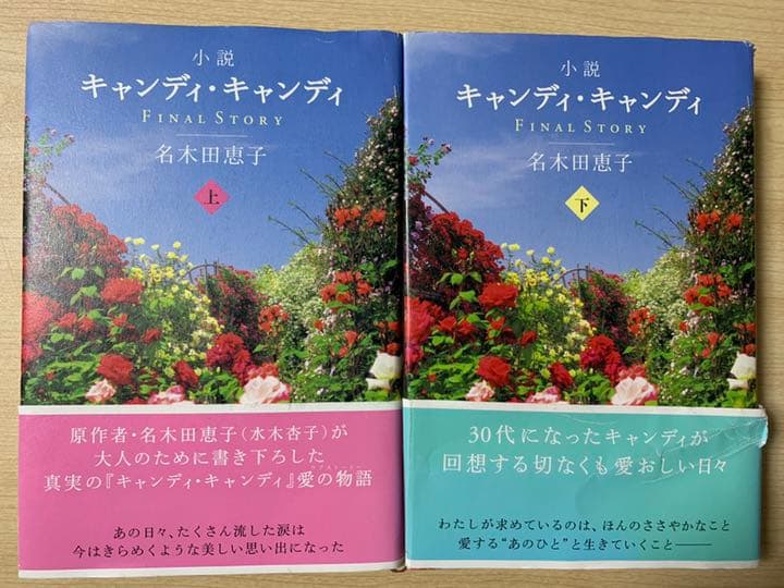 小説キャンディ・キャンディFINAL STORY 上下 - メルカリ