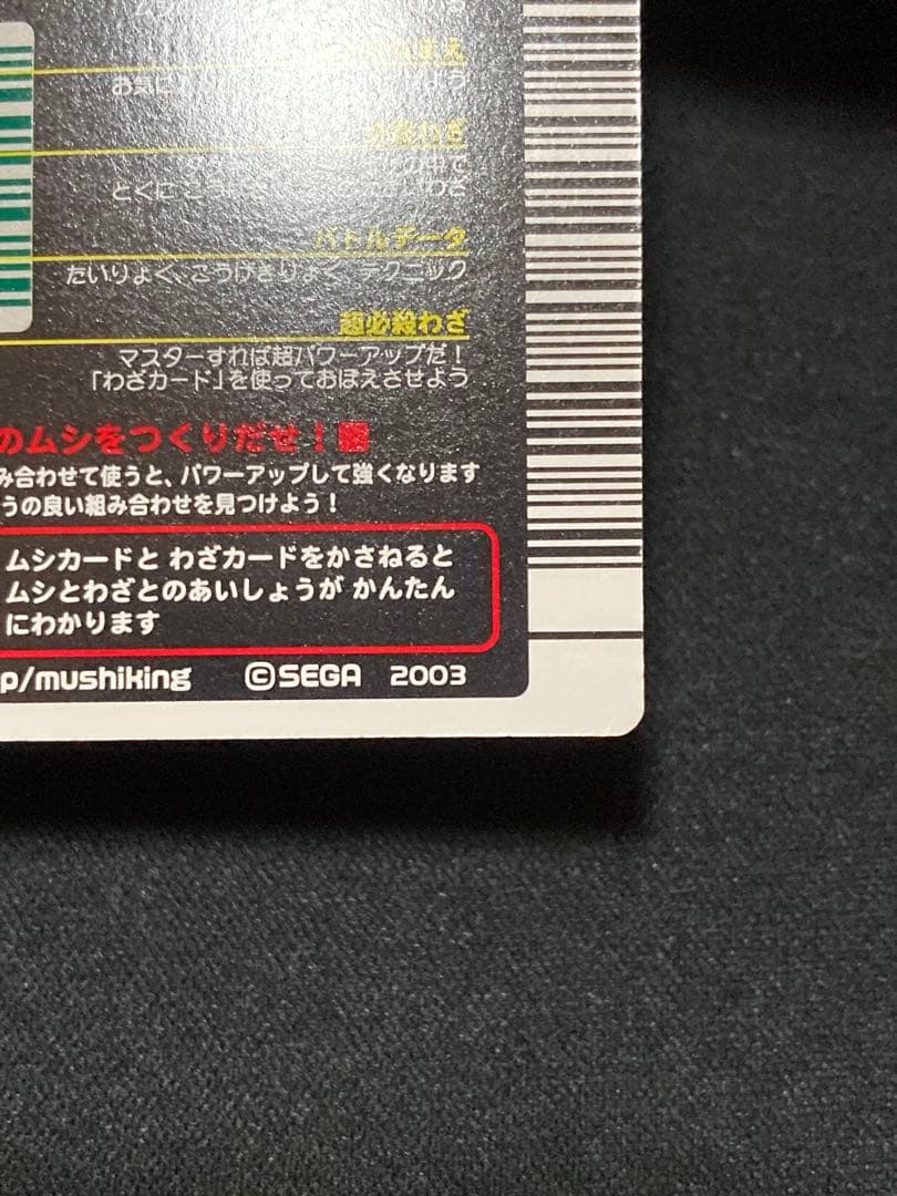 またこ ヘルクレスオオカブト2003 SPRING春 学名黒バーコードキラ